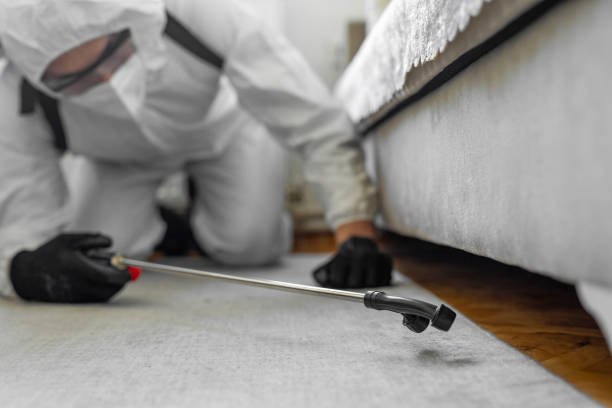 Professional Termite Control technician working in Tonawanda, NY