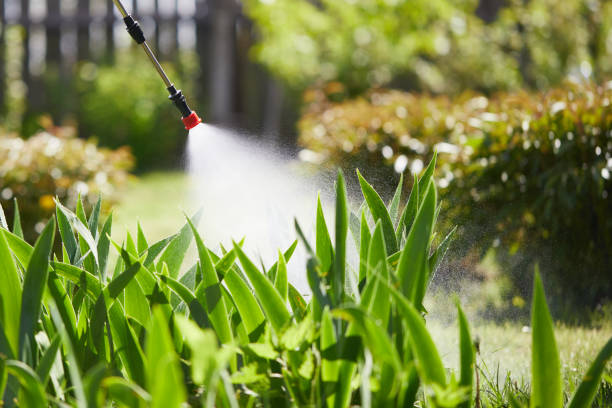 24/7 Emergency Termite Control experts in Tonawanda, NY